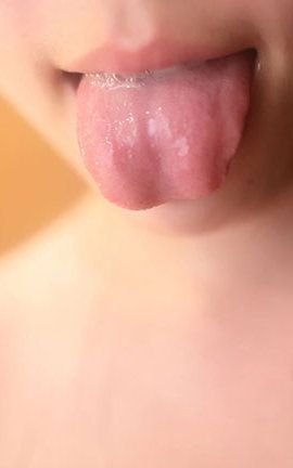 ROSI丝袜  No.1961[20P]