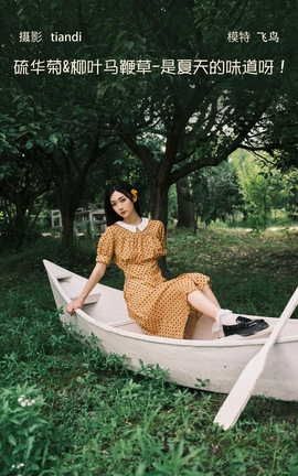 YITUYU艺图语 2022.08.08 硫华菊&柳叶马鞭草-是夏天的味道呀！ 飞鸟咕咕-[44P]