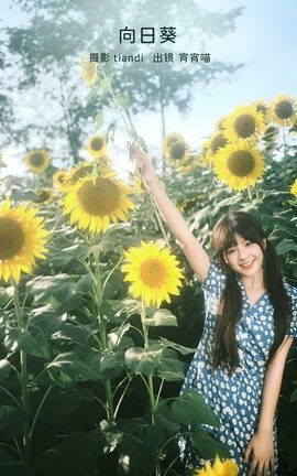 YITUYU艺图语 2023.02.15 向日葵 宵宵喵[28P]