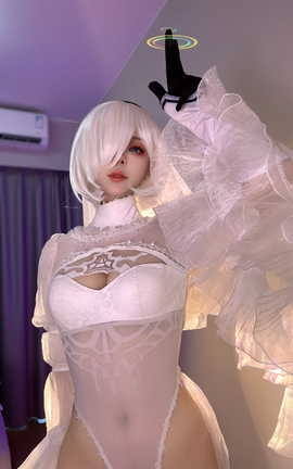 九言(阿九从不咕咕) 2b的嫁衣[45P]