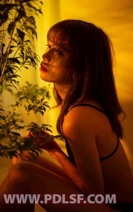 PDL潘多拉 2020.01.07 NO.263[67P]