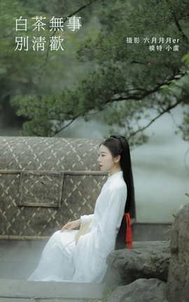 YITUYU艺图语 2022.02.03 白茶无事别清欢 一方伊人yi[25P]
